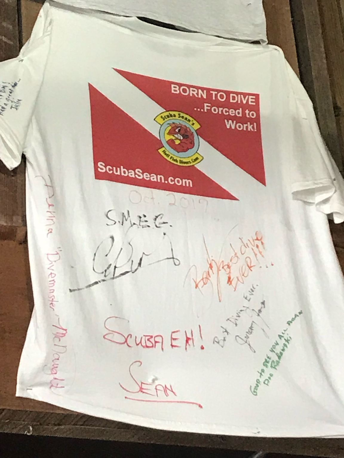 Scuba Sean "Born to Dive, Forced to Work" shirt on the wall